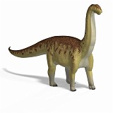 Camarasaurus 09 A_0001